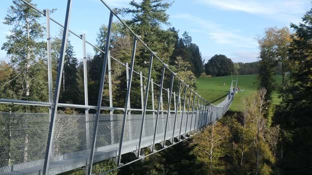 Hängebrücke Grub