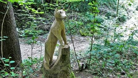 Besonders schön für Familien Holzfiguren entdecken, Memory spielen, eine kleine Pause am Grillplatz machen und dabei dem Bach entlang durch den Wald spazieren: Das Hexentöbeli bietet mehrere kleine Erlebnisse, die sich wunderbar miteinander verbinden lassen.