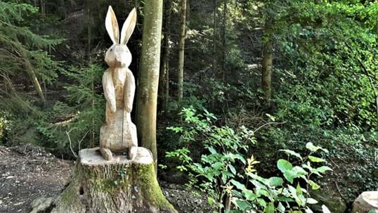 Entlang des Weges begegnen dir immer wieder neue Holzfiguren – unter anderem ein Bär, eine Eule, eine Schnecke und ein Fuchs. Auch ein Holzsessel mit Herz und fantasievolle Pilze gehören zur kleinen Waldwelt.