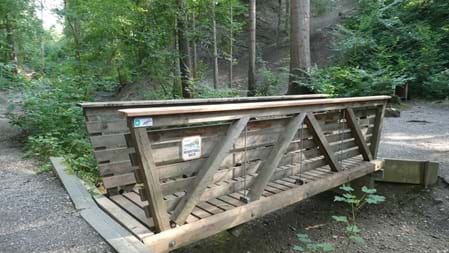 Besonders schön für Familien Holzfiguren entdecken, Memory spielen, eine kleine Pause am Grillplatz machen und dabei dem Bach entlang durch den Wald spazieren: Das Hexentöbeli bietet mehrere kleine Erlebnisse, die sich wunderbar miteinander verbinden lassen.