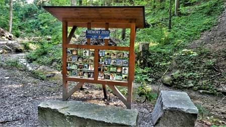 Besonders schön für Familien Holzfiguren entdecken, Memory spielen, eine kleine Pause am Grillplatz machen und dabei dem Bach entlang durch den Wald spazieren: Das Hexentöbeli bietet mehrere kleine Erlebnisse, die sich wunderbar miteinander verbinden lassen.