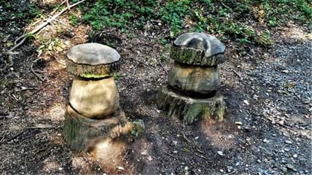 Besonders schön für Familien Holzfiguren entdecken, Memory spielen, eine kleine Pause am Grillplatz machen und dabei dem Bach entlang durch den Wald spazieren: Das Hexentöbeli bietet mehrere kleine Erlebnisse, die sich wunderbar miteinander verbinden lassen.