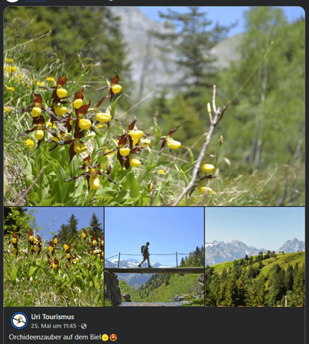 Orchideenzauber auf dem Biel