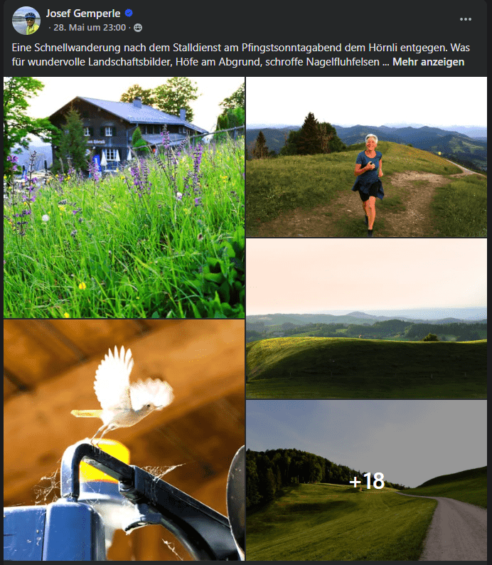 Eine Schnellwanderung nach dem Stalldienst am Pfingstsonntagabend dem Hörnli entgegen. Was für wundervolle Landschaftsbilder, Höfe am Abgrund, schroffe Nagelfluhfelsen ..