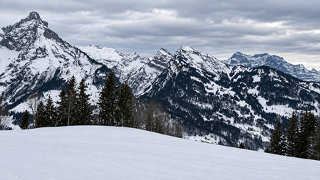 Verschneite Schweizer Berglandschaft mit markanten, schneebedeckten Gipfeln, dunklen Tannen und einer weissen Schneefläche im Vordergrund unter bewölktem Himmel.