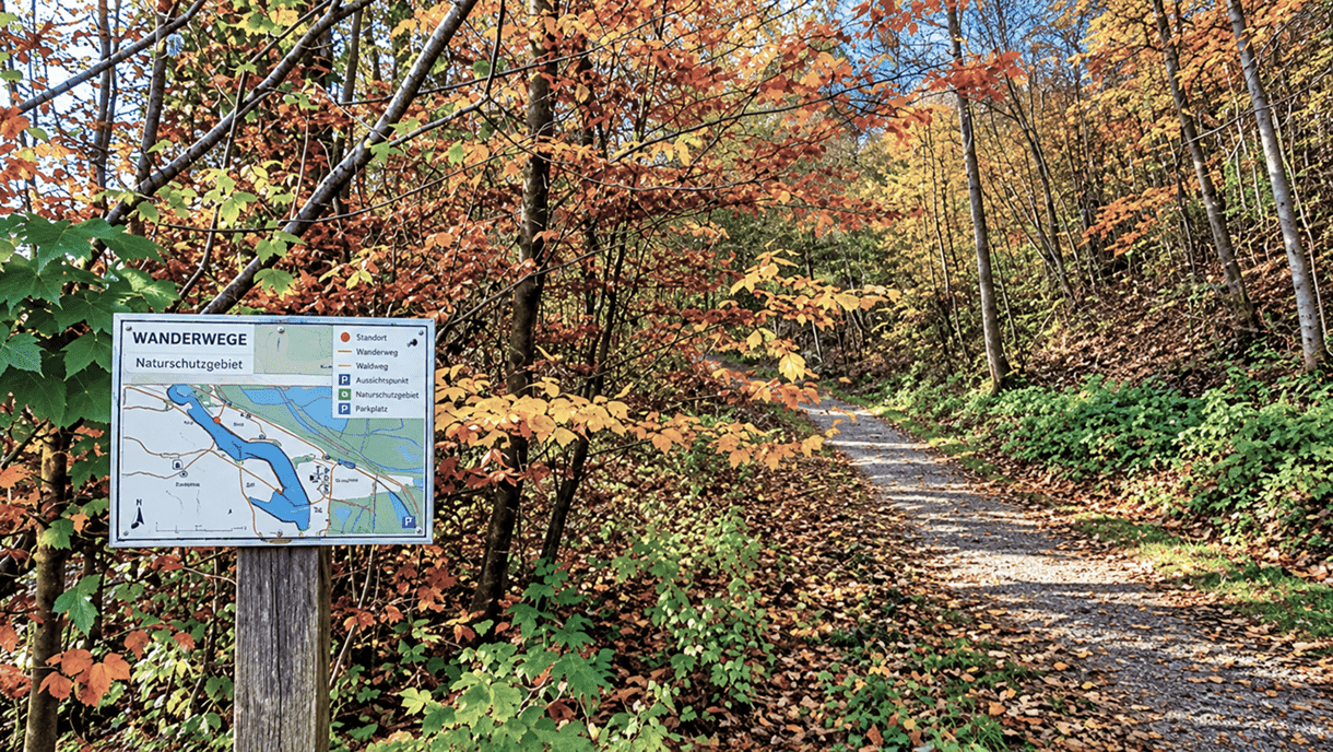 Herbstlicher Waldlehrpfad mit einer Wanderwegtafel und einer Karte im Vordergrund. Ein mit bunten Blättern gesäumter Weg führt durch den farbenprächtigen Wald.