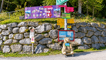 Wanderwegweiser am Munggeweg in Amden mit farbigen Informationstafeln, Wegweisern, Wanderkarte und einem Murmeltier-Maskottchen vor einer Natursteinmauer am Waldrand.